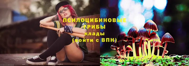 Псилоцибиновые грибы Magic Shrooms  Клинцы 